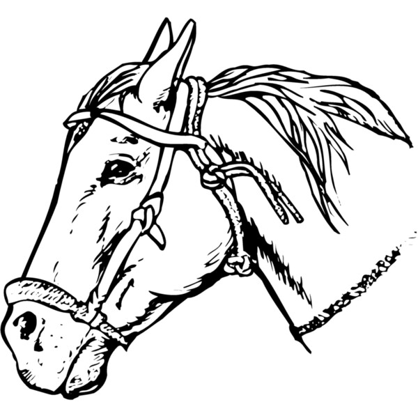 HORSE007 Thumbnail