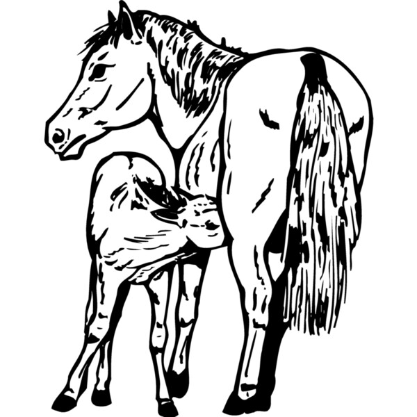 HORSE036 Thumbnail