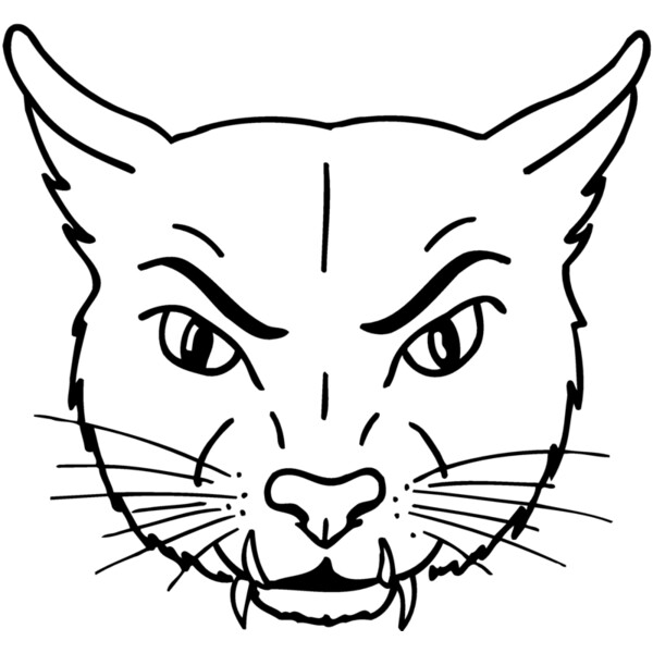 CAT19 Thumbnail