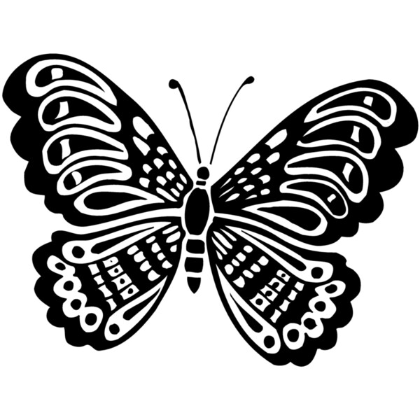 BTRFLY05 Thumbnail
