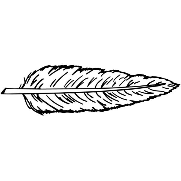FEATHER Thumbnail
