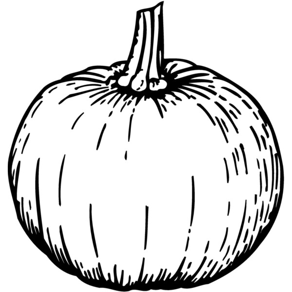 FRUIT040 Thumbnail