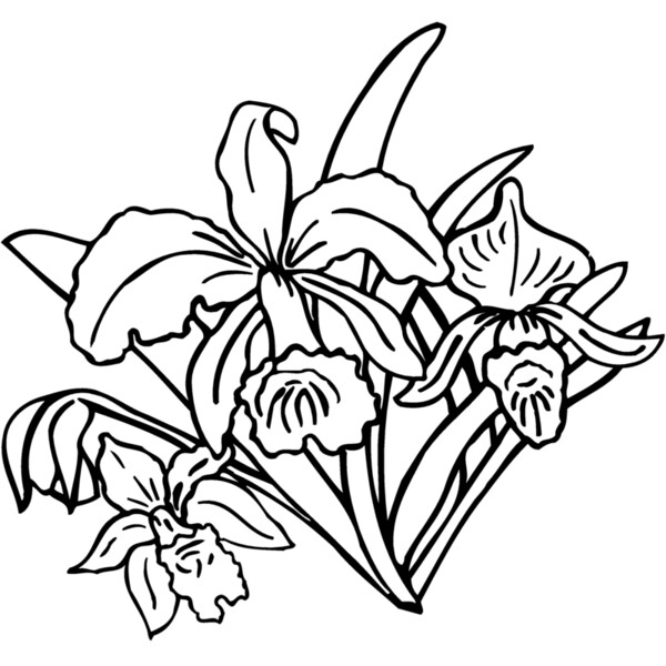FLOWER18 Thumbnail