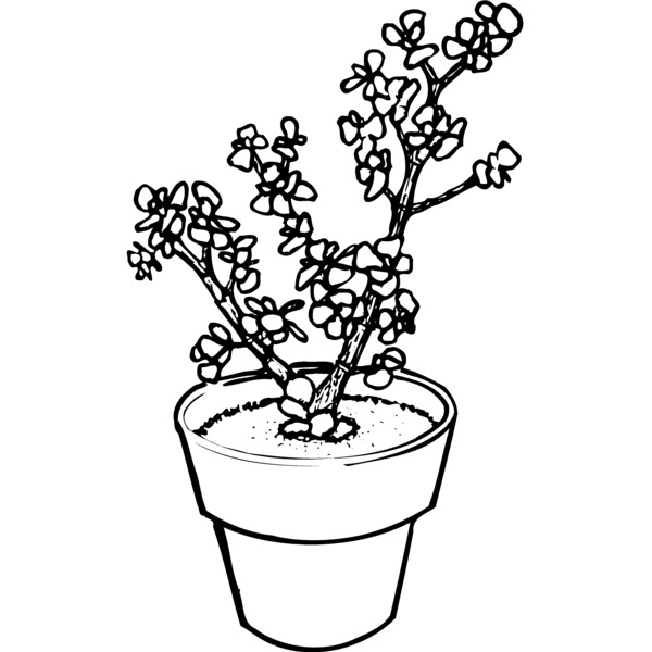 PLANT05 Thumbnail